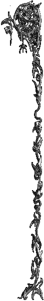 00031.gif (6380 bytes)